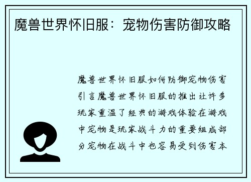 魔兽世界怀旧服：宠物伤害防御攻略